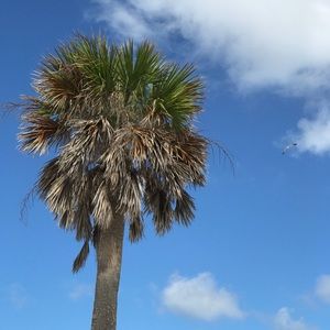 Meet your Posher, Emmie